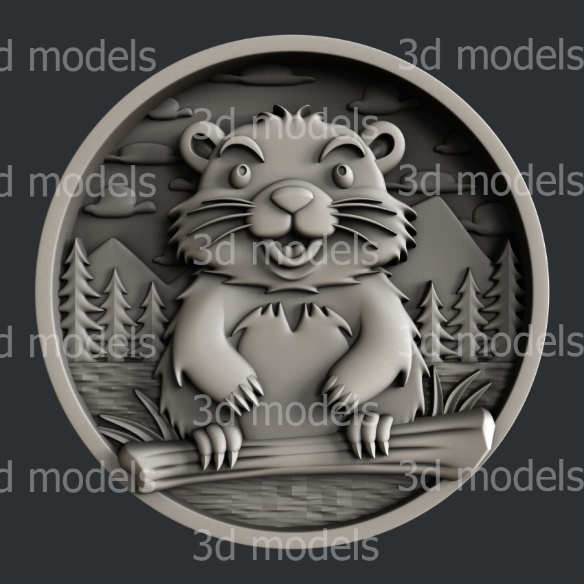model image