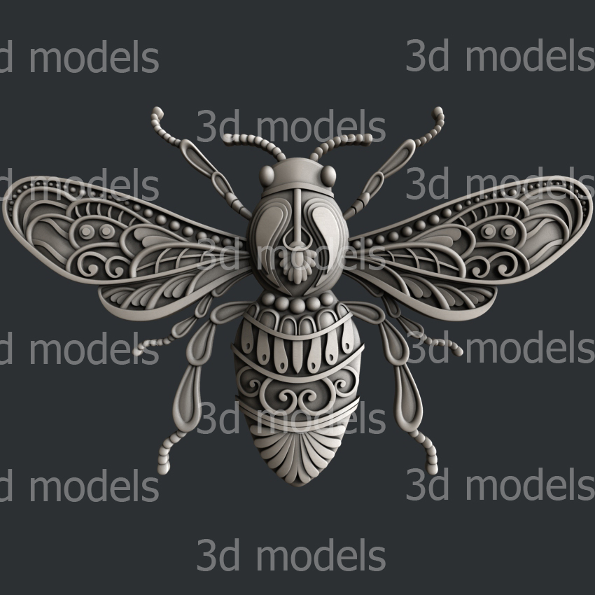 model image