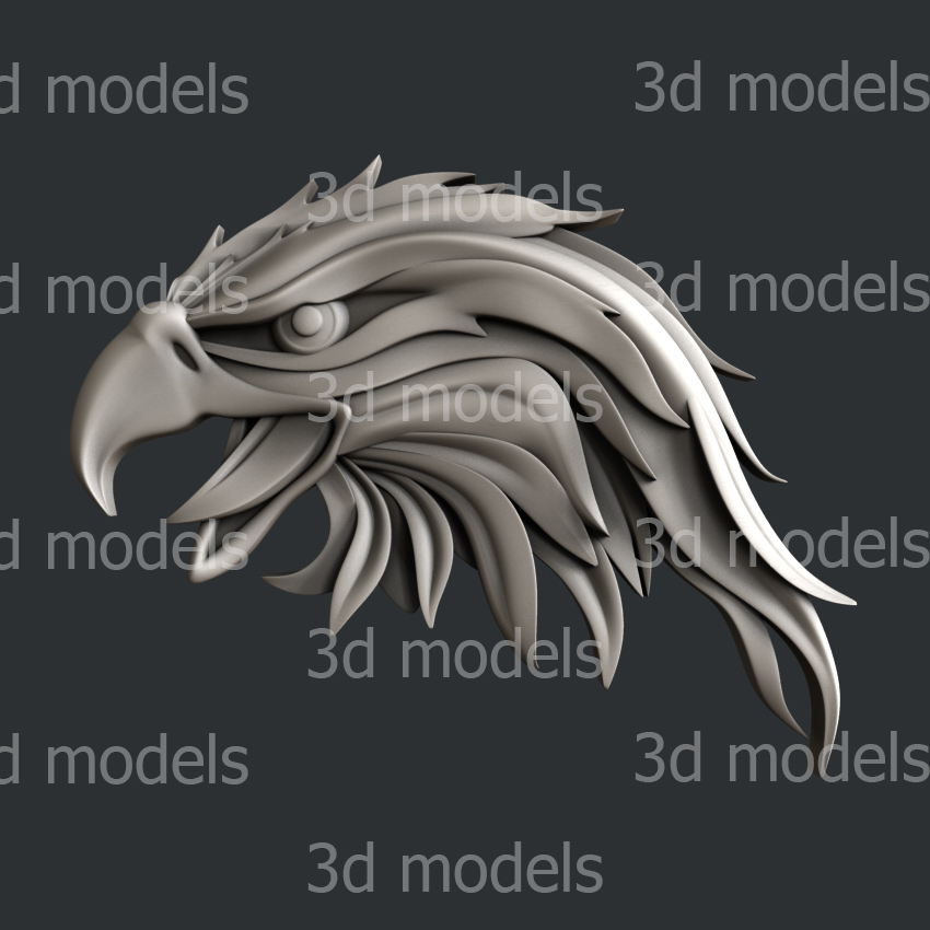 model image