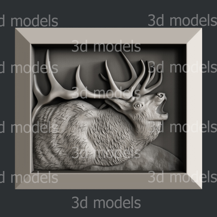 model image