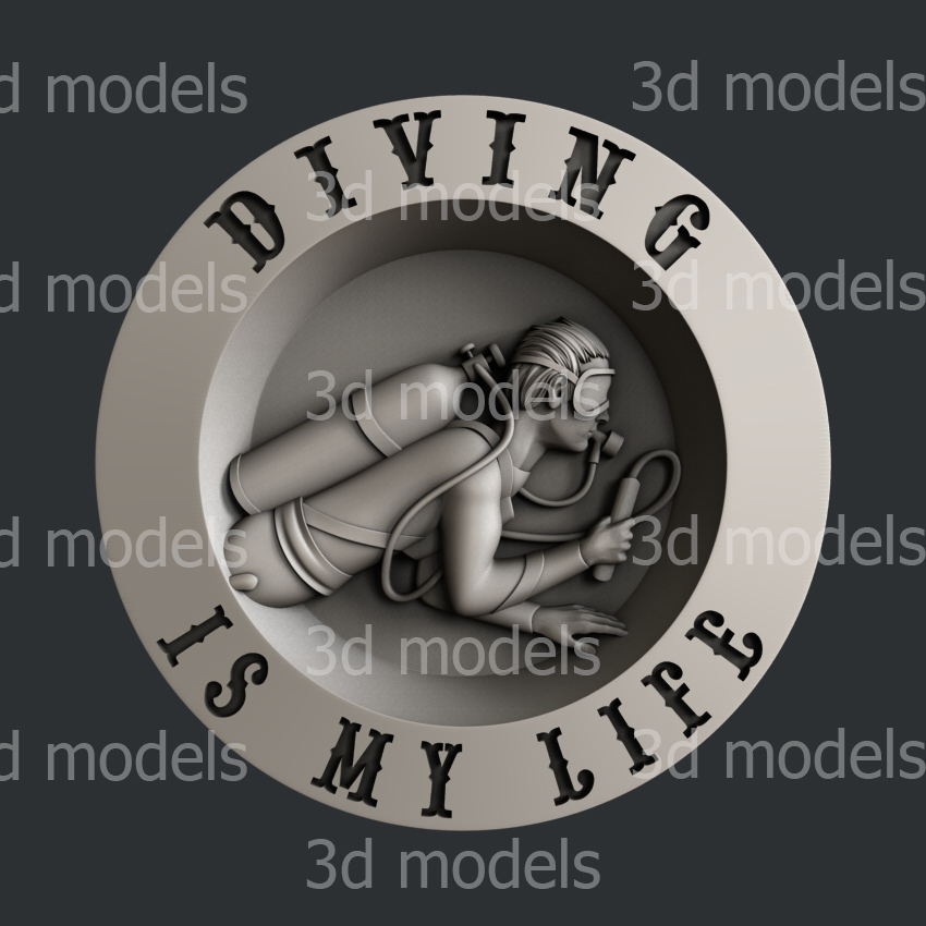 model image