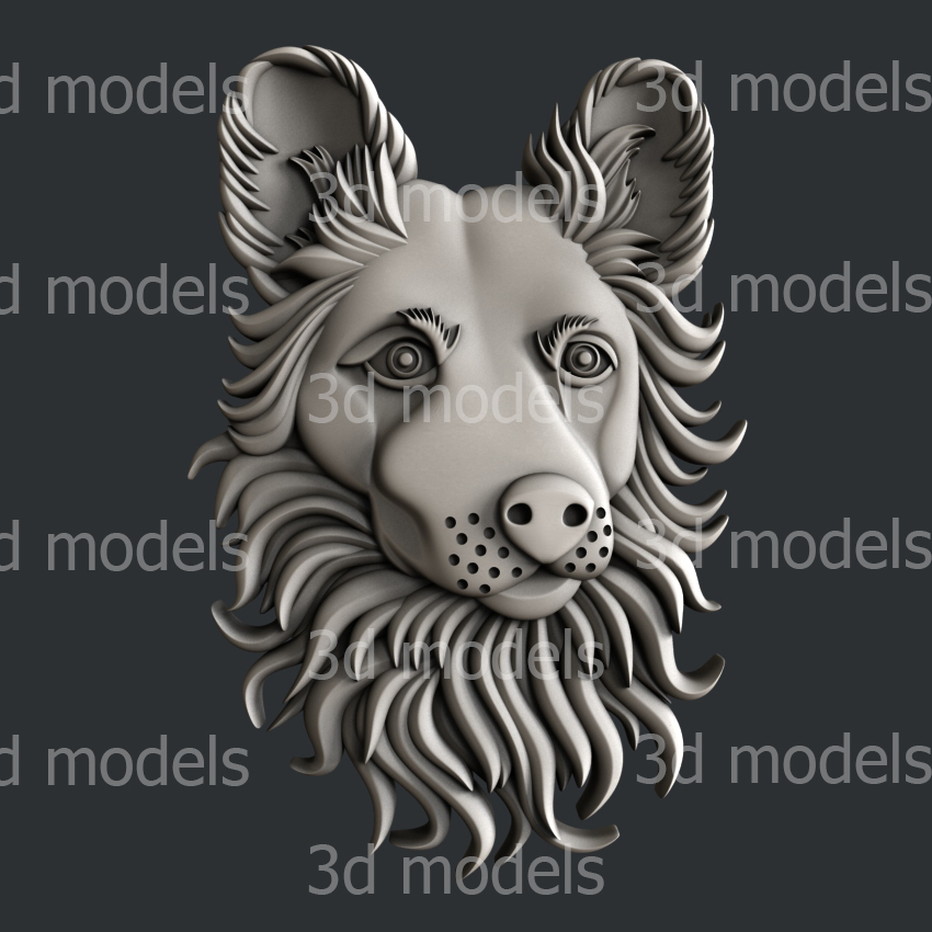 model image