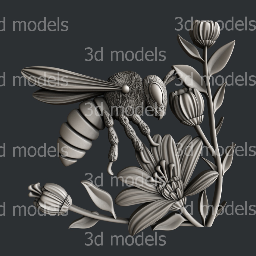 model image