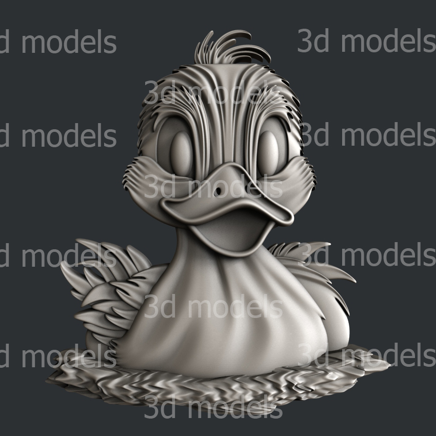 model image