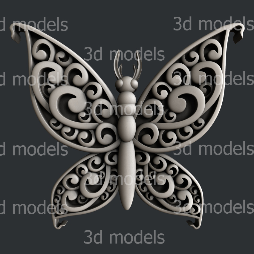 model image